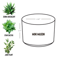 CUSTOM CATTLE BRAND Desk Plant Laser Engraved Pot Housewarming Office Gift