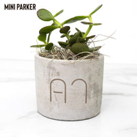 CUSTOM CATTLE BRAND Desk Plant Laser Engraved Pot Housewarming Office Gift