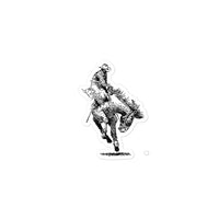 Rodeo Bronc Rider Western Truck Decal Bubble-free Stickers