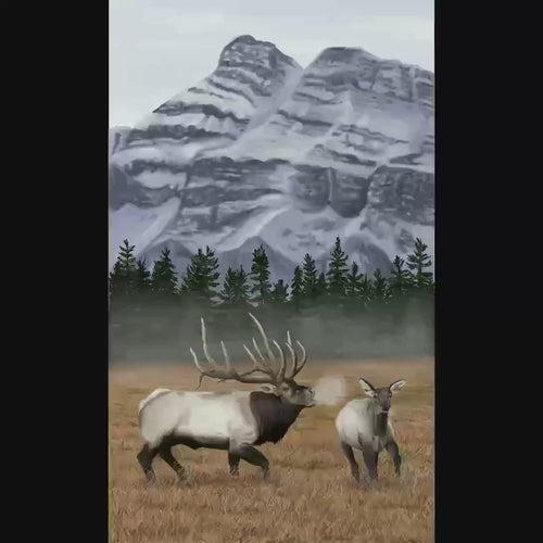 Elk Serenade Wildlife Outdoor Painting Metal Wall Art Print