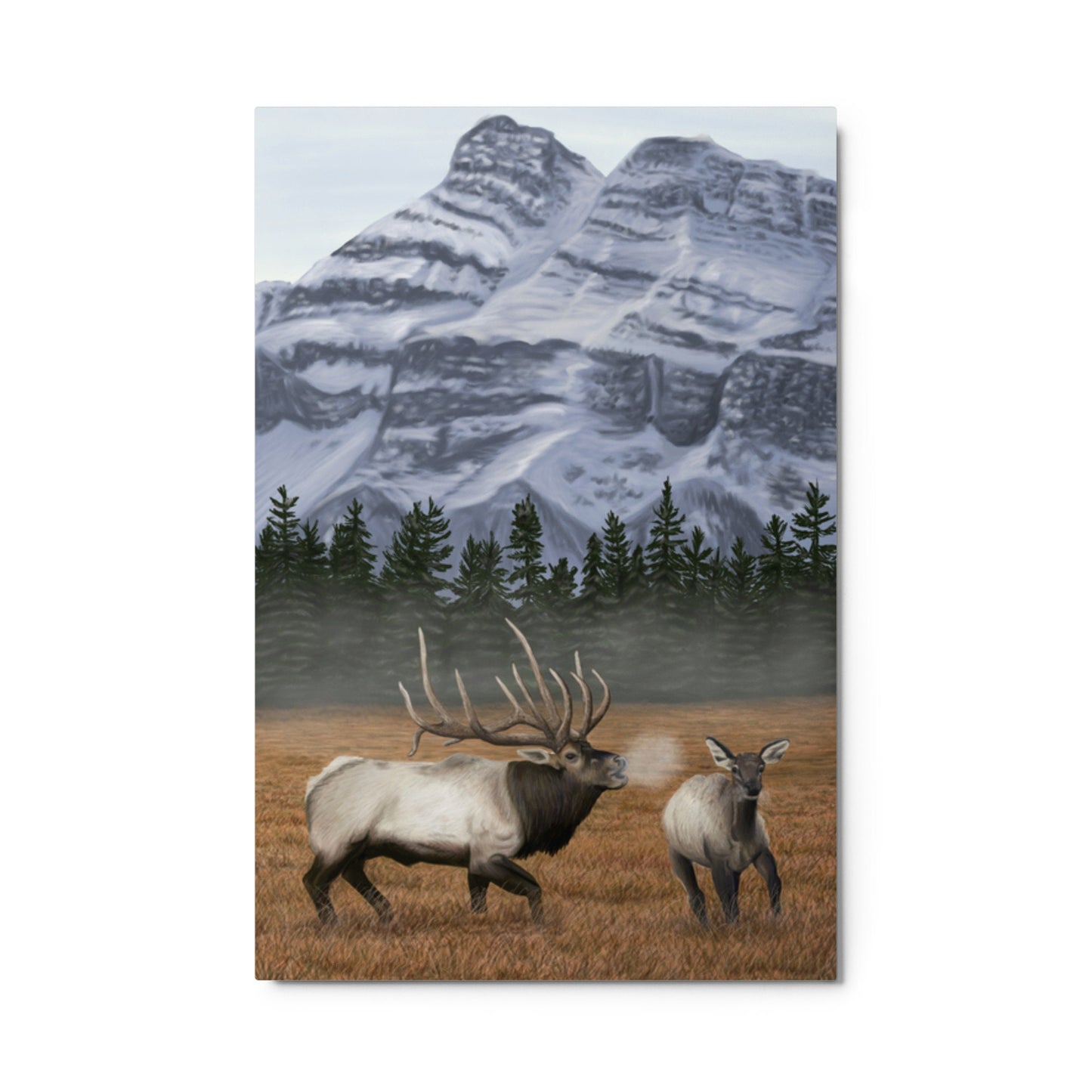 Elk Serenade Wildlife Outdoor Painting Metal Wall Art Print