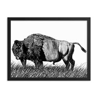 American Buffalo Ink Drawing Art Framed Poster Bison Wildlife Artwork Ink Drawing Artwork Outdoorsment Wall Decor for Rustic Office or House