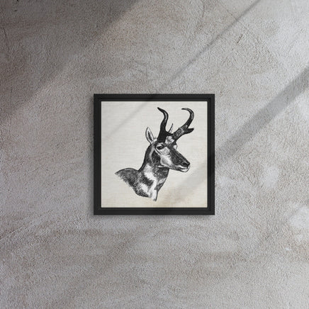 Antelope Framed Canvas Wall Art