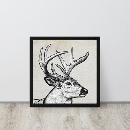 Whitetail Deer Framed Canvas