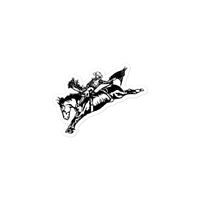 Bronc Rider Decals