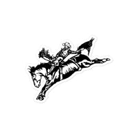 Bronc Rider Decals