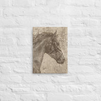 Engraved Style Retro Distressed Horse Head Vintage Looking Canvas Western Ranch Lodge Wall Art