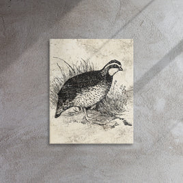 Engraved Retro Distressed Vintage Looking Quail Stretched Canvas Print Hunting Cabin and Lodge Wall Decor Hunter Gift or House Warming Idea