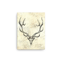 Vintage Retro Bull Elk Skull Cabin and Lodge Distressed Wall Decor Stretched Canvas Gift for Hunters with Outdoor Rustic Theme Design