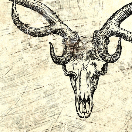 Vintage Retro Bull Elk Skull Cabin and Lodge Distressed Wall Decor Stretched Canvas Gift for Hunters with Outdoor Rustic Theme Design